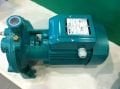 WP 102-T 2.2 kw Monoblok Trifaze Yatay Santrifüj Pompa